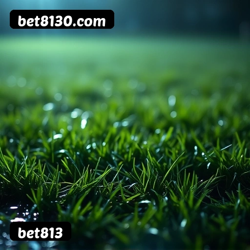 Jogo responsável bet813 - Ferramentas de controle, limites, auto-exclusão, suporte CVV 188